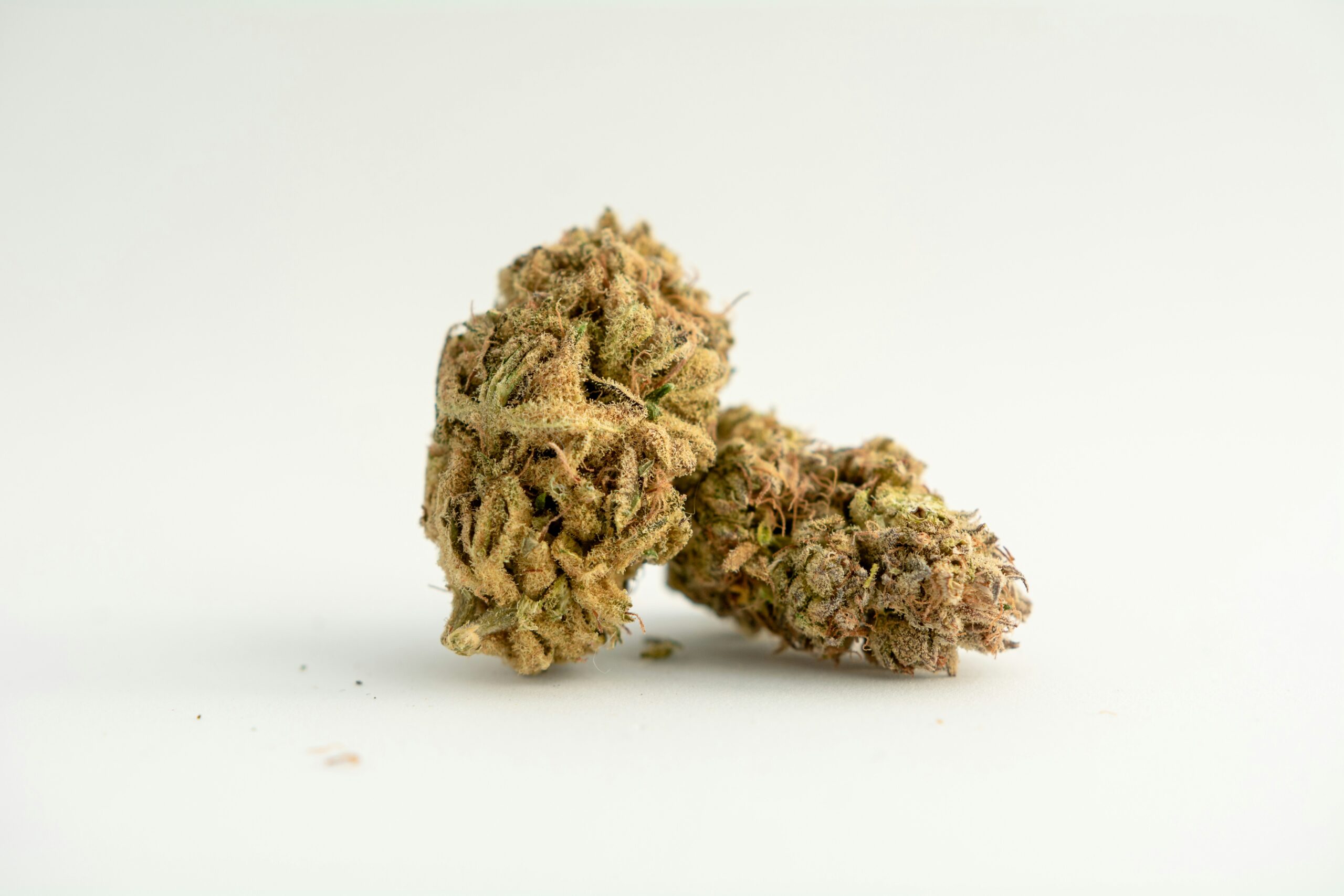 Exploring the Benefits of Hempelsabya: A Natural Alternative